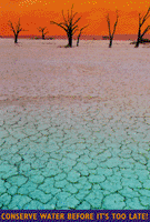 Conserve Water Before It's Too Late
